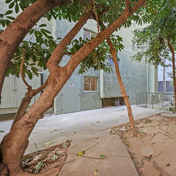a tree-filled courtyard with a concrete floor and a small fountain.