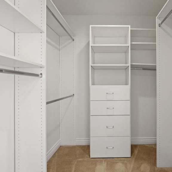 walk-in closet with built-in organizers