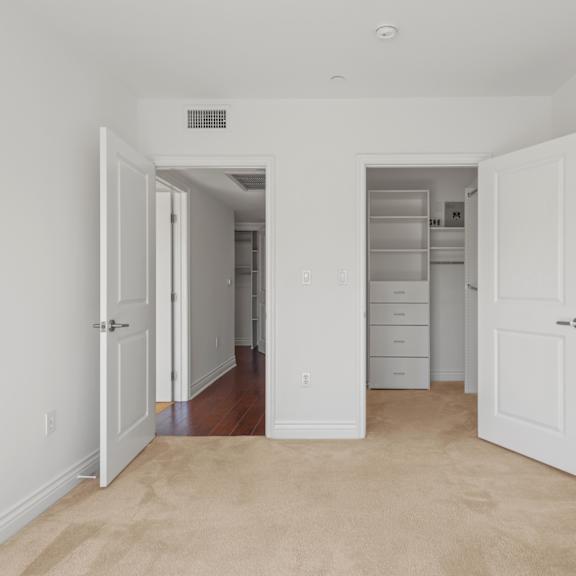 master bedroom with walk-in closet