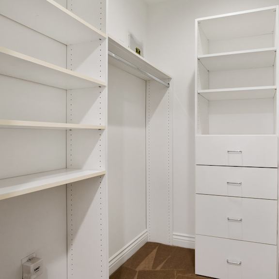 walk-in closet with built-in organizers