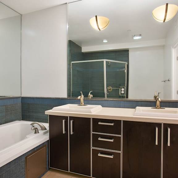 master bathroom with double-sink vanity