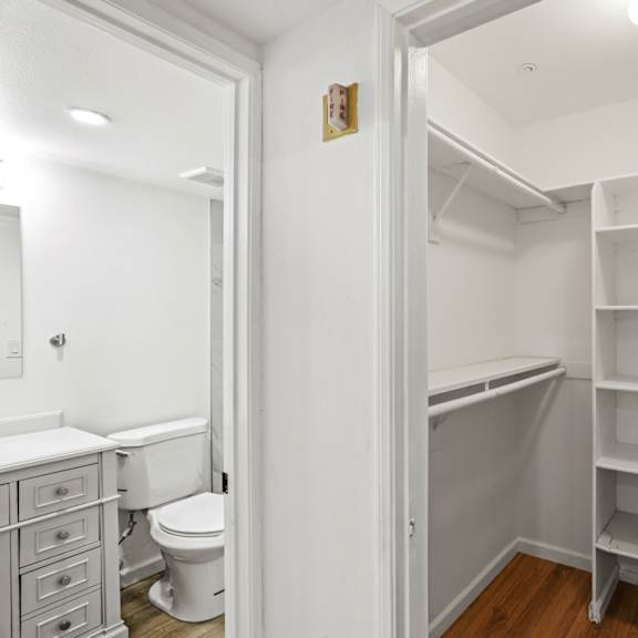 bedroom with walk-in closet with shelvingand bathroom