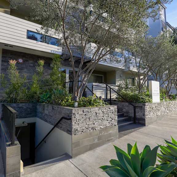 entrance of dorothy village by wiseman