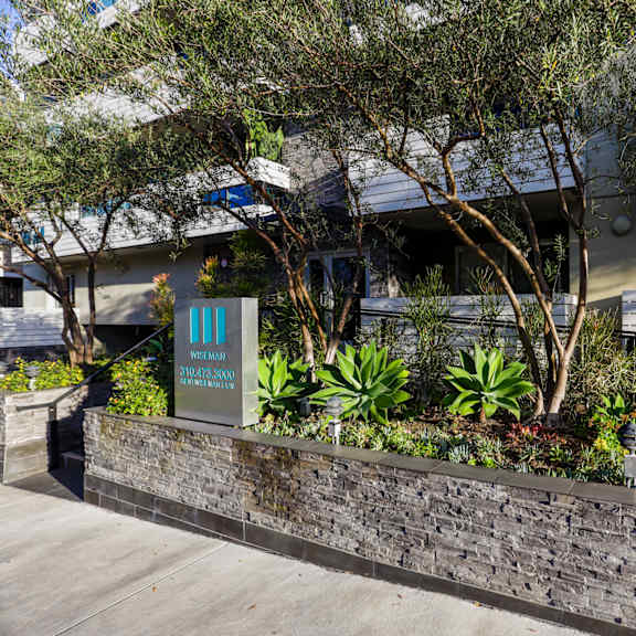 sidewalk view of dorothy village by wiseman