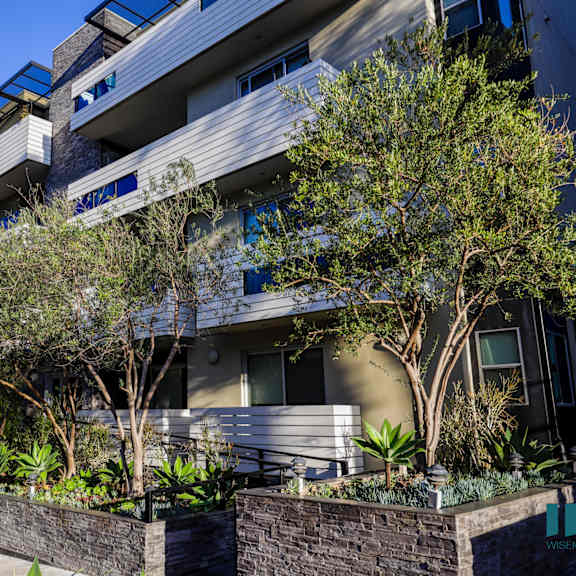 dorothy village by wiseman