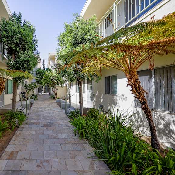 the courtyard between the apartment buildings has a walkway with trees and plants