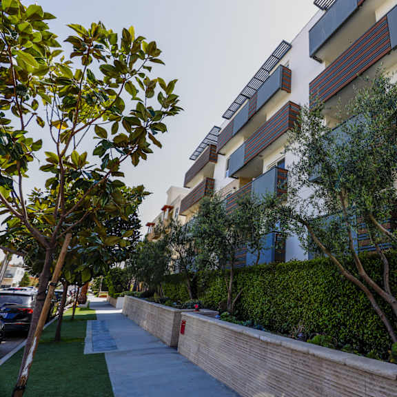 sidewalk view of westgate wonder by wiseman