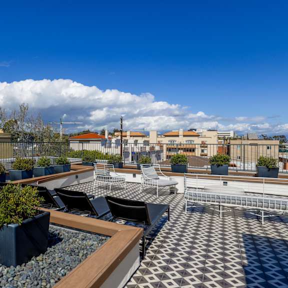 rooftop terrace of barry diamond by wiseman