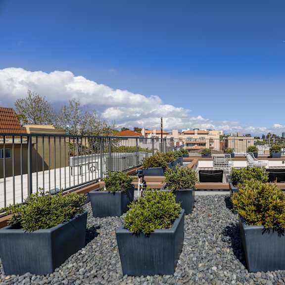 rooftop deck views
