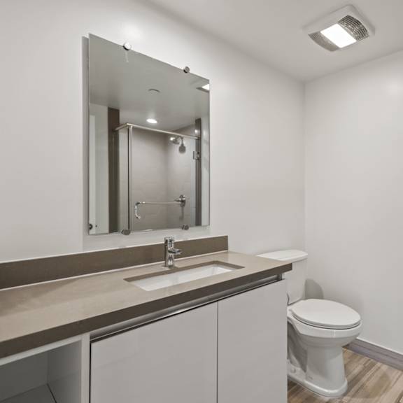 bathroom with vanity, sink, and toilet