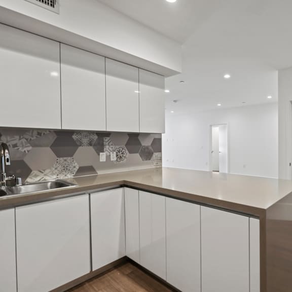 kitchen and in-suite washer & dryer