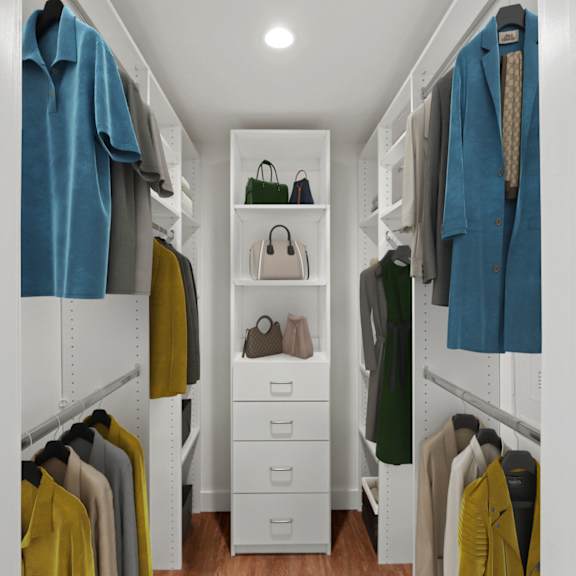 walk-in closet with built-in organizers