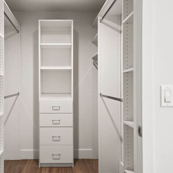 walk-in closet with built-in organizers