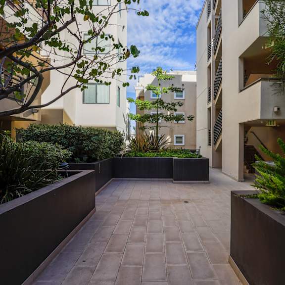 interior courtyard