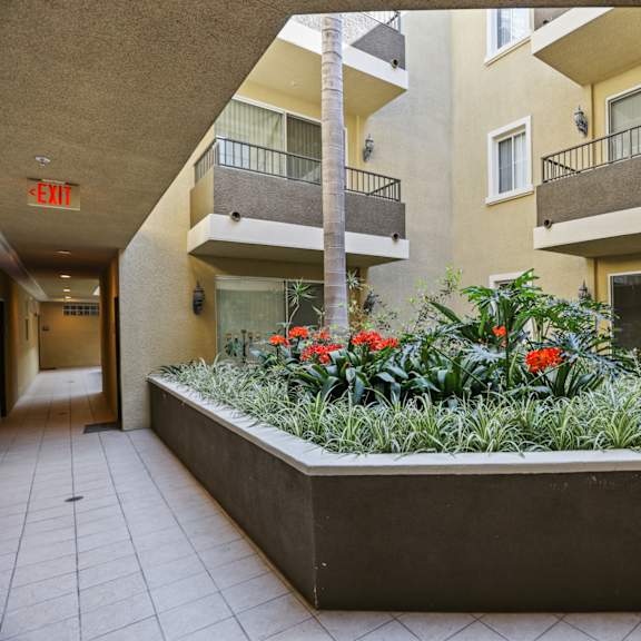 lower level of interior courtyard