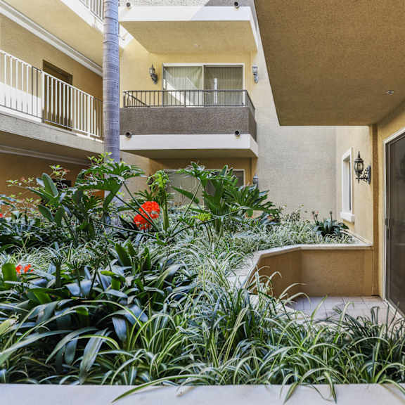 interior courtyard