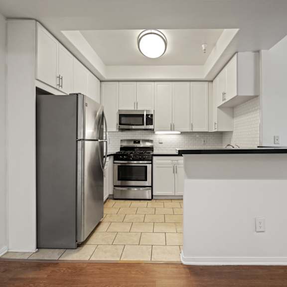 kitchen with stainless-steel refrigerator, stove, microwave oven, and dishwasher