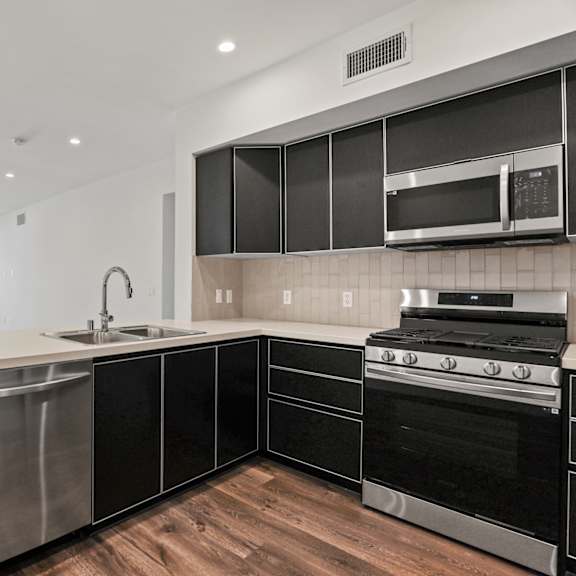 open-concept kitchen with stainless-steel dishwasher, stove, and microwave oven