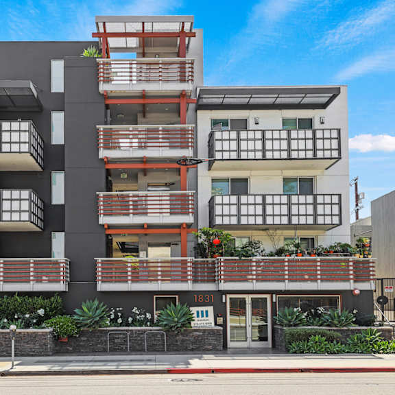 sawtelle pearl by wiseman