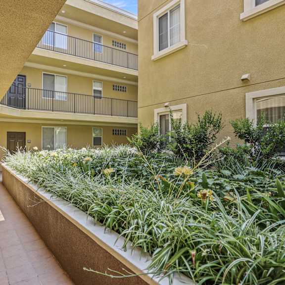 lower level of courtyard