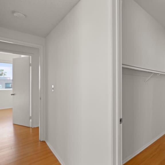walk-in closet with hanging-rod and shelf