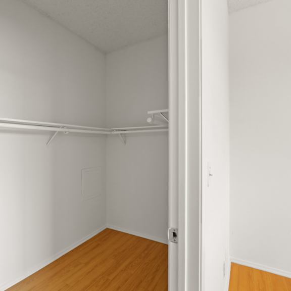 large-size walk-in closet