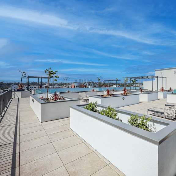 a rooftop patio with white planters and a clear blue sky.