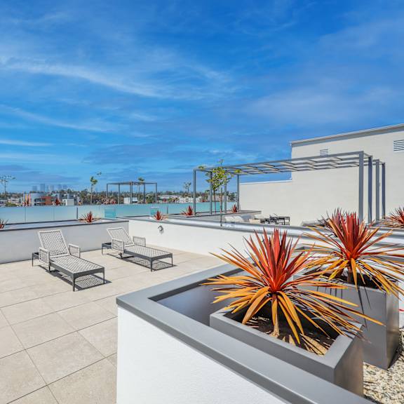 a rooftop patio with a pool, lounge chairs, and plants.