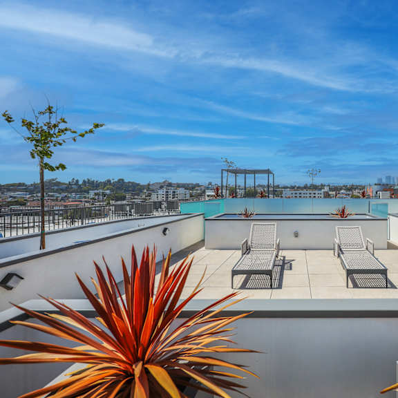 a rooftop pool surrounded by chairs and plants.