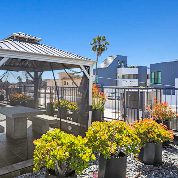 pergola on the rooftop deck at gramercy park by wiseman, los angeles, ca