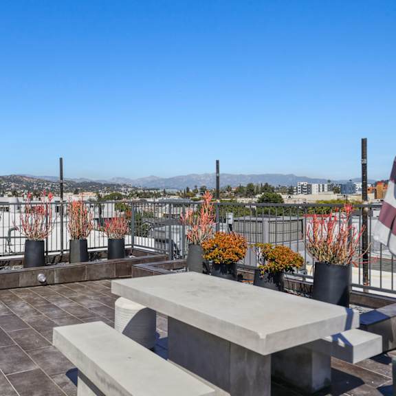 rooftop deck with plants at gramercy park by wiseman, los angeles, ca, 90004