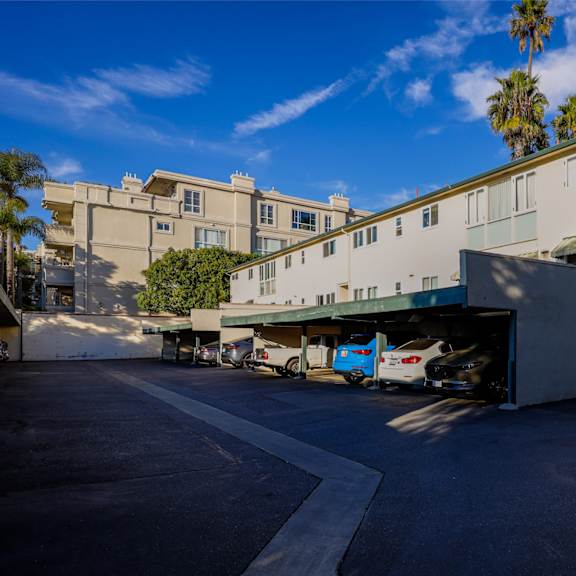 a parking lot in front of a building with a palm tree in the background.