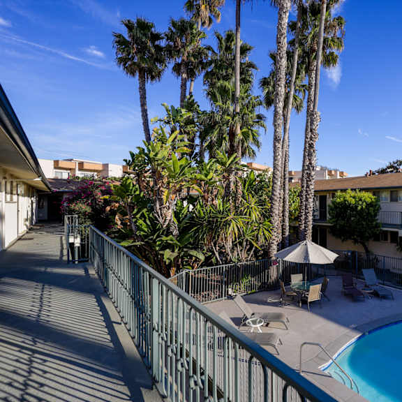 a pool surrounded by a fence and palm trees.
