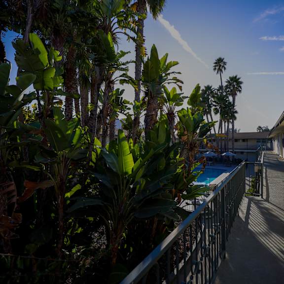 a balcony with a pool and palm trees.