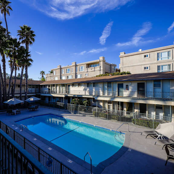 a pool surrounded by a fence and palm trees.