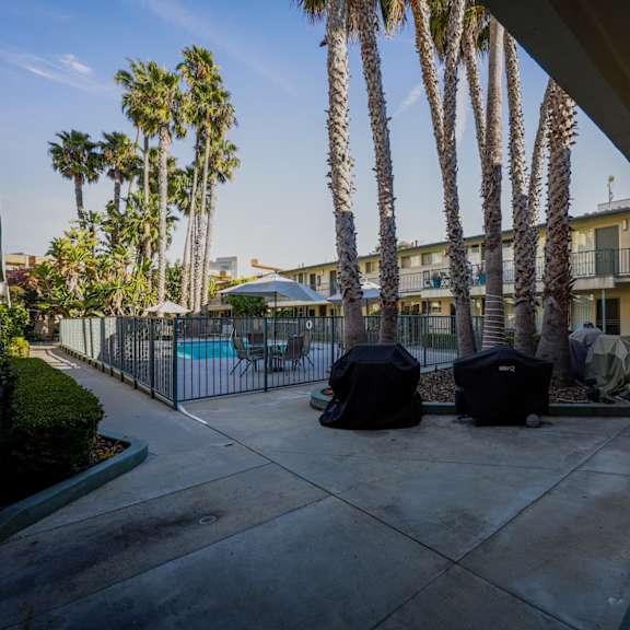 a patio with a pool and palm trees in the background.