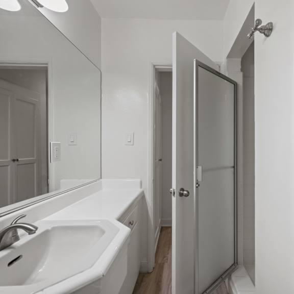 a bathroom with a sink, mirror, and shower.