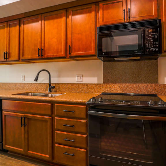 kitchen with dishwasher, stove, and microwave oven