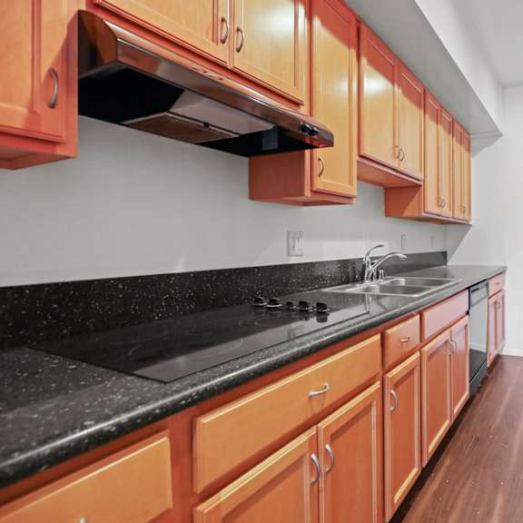 kitchen with cooktop, dishwasher, and refrigerator