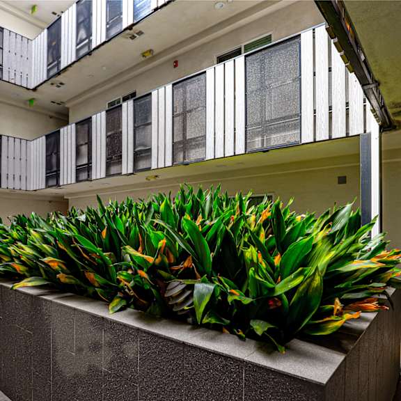 courtyard area of apartment building