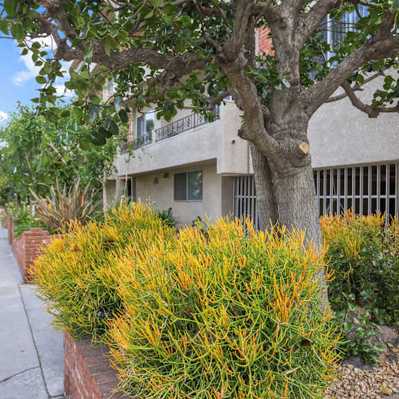sidewalk view of bentley woodland by wiseman