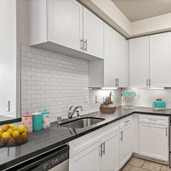 kitchen with stainless-steel dishwasher, stove, and microwave oven