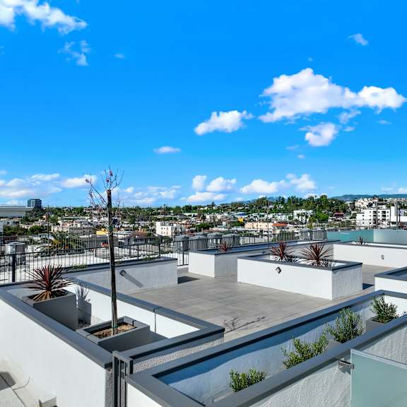 a rooftop garden with a pool and plants.