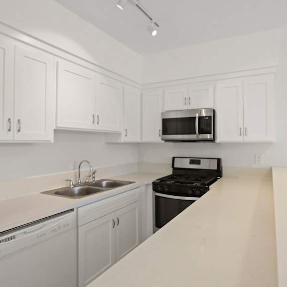 kitchen with dishwasher and stove