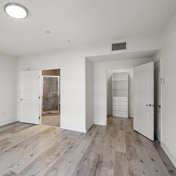 large bedroom with a walk-in closet and vinyl flooring