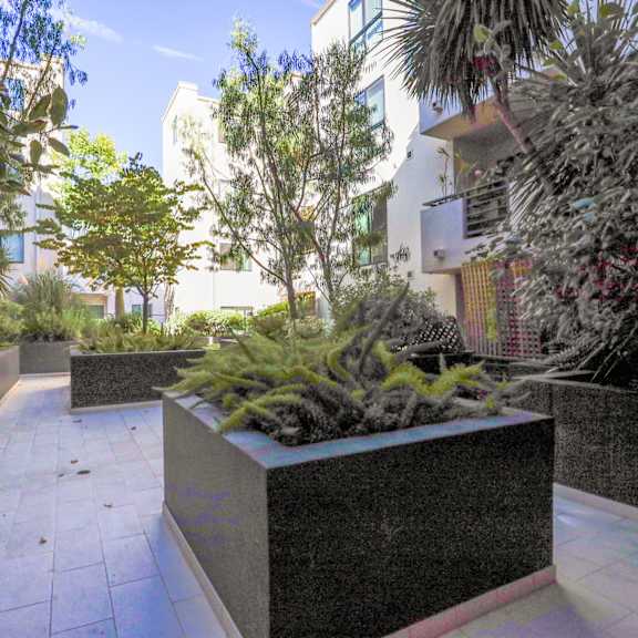 courtyard area of santa monica federal by wiseman