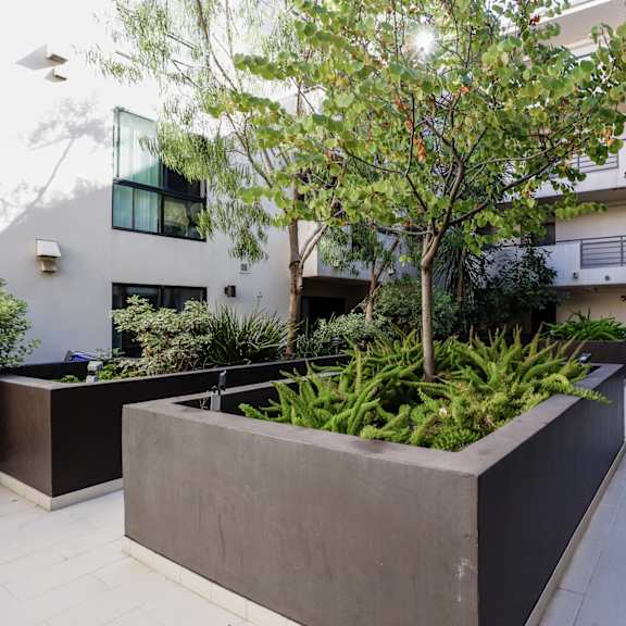 courtyard space of santa monica federal by wiseman