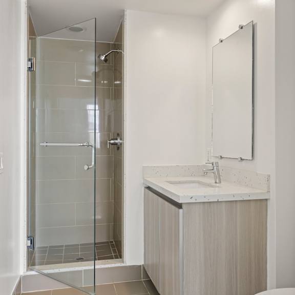 bathroom with walk-in shower and vanity