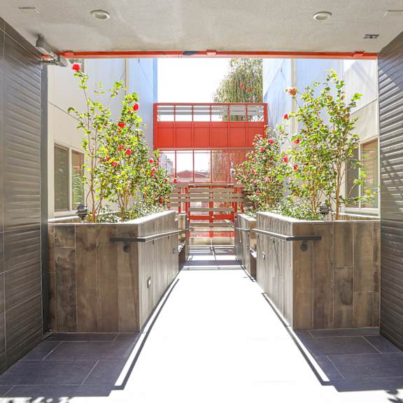 courtyard view of front entrance