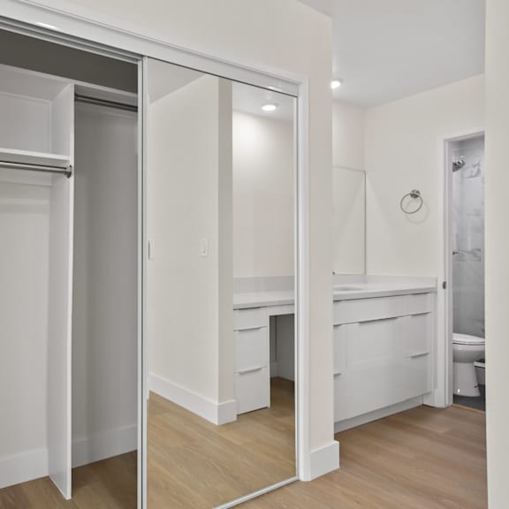 full-size closet and bathroom with with walk-in shower